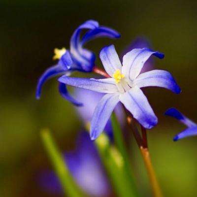 澳门威尼斯人软件